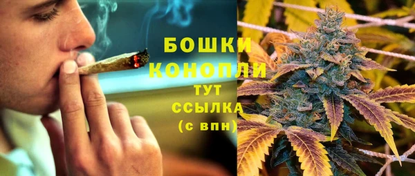 трава Краснослободск